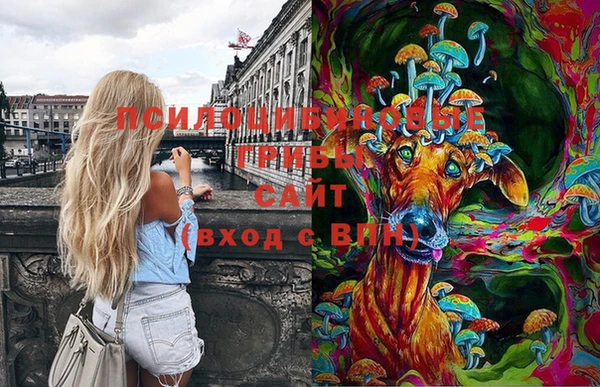 твердый Балахна