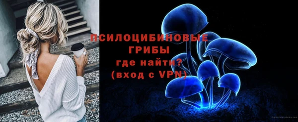 твердый Балахна